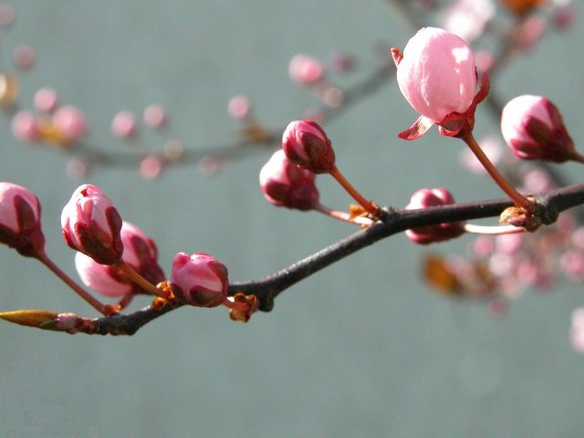 Was die stellvertretende Vorstandsvorsitzende aktuell bewegt